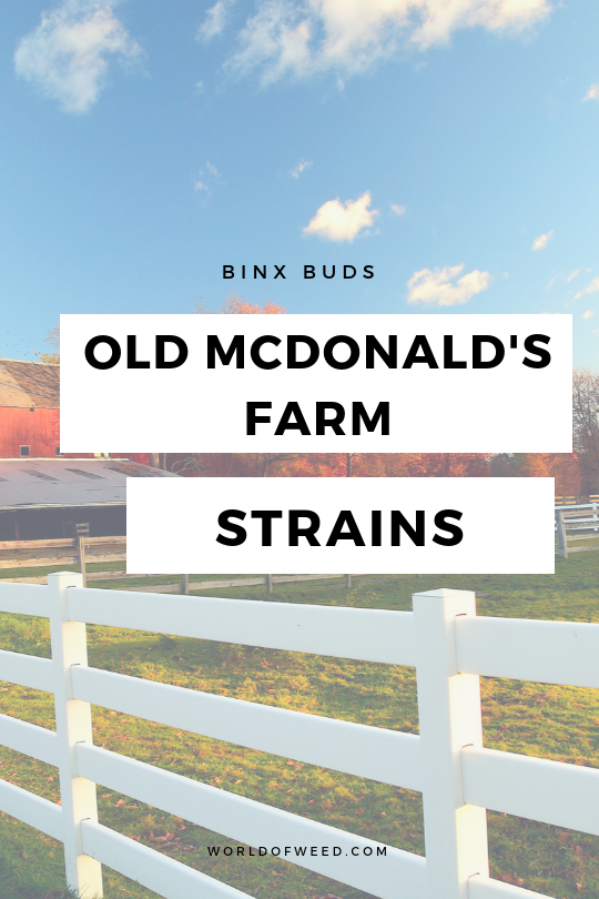 Get High on a Hog With Old McDonald’s Farm Strains