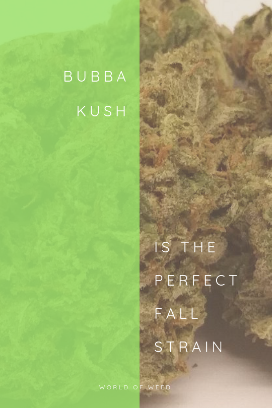 Bubba Kush is the Perfect Fall Strain