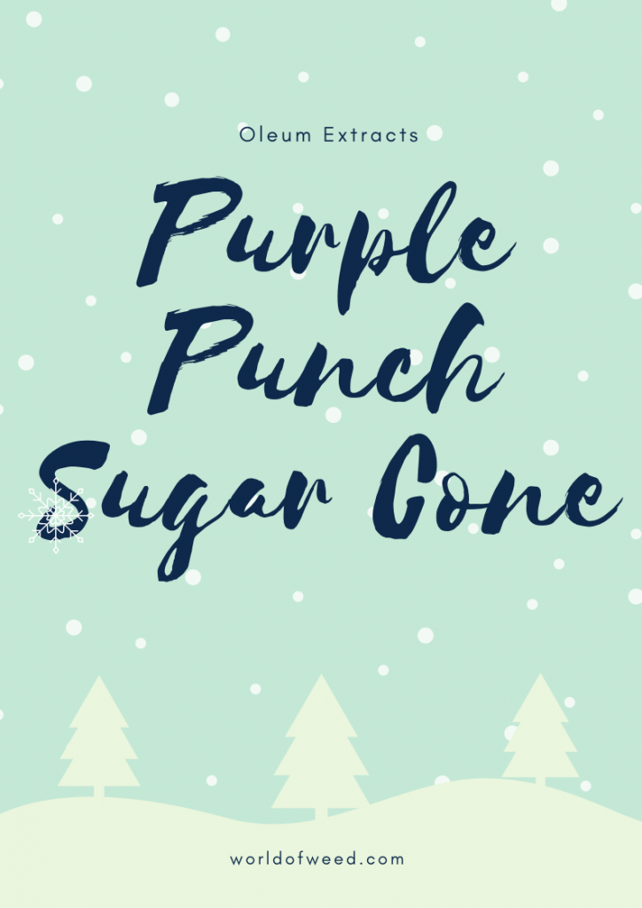 Oleum Purple Punch Sugar Cone | World of Weed Oleum Purple Punch Sugar Cone