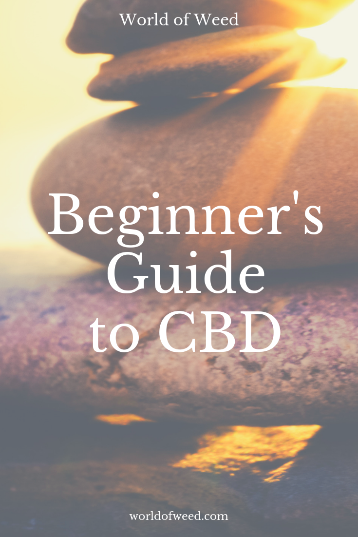 Cannabidiol Explained: The Beginner’s Guide to CBD