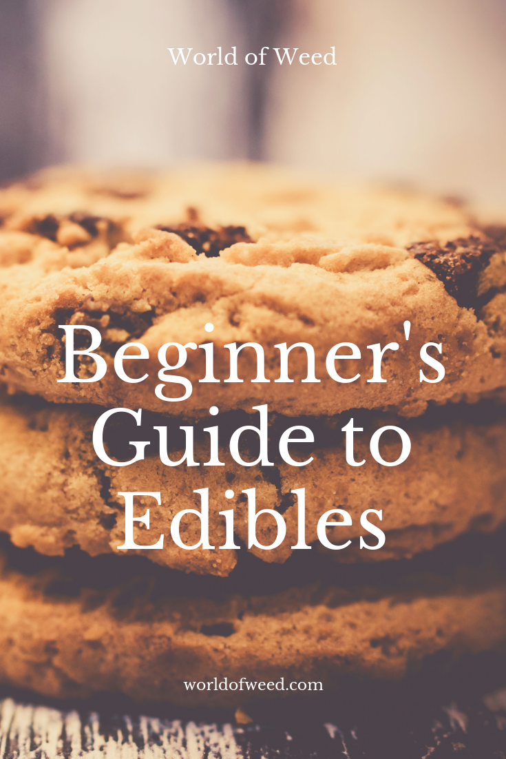 Beginner’s Guide to Edibles