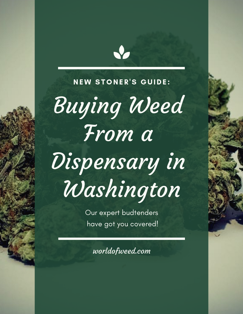 The New Stoner’s Guide to Buying Weed From a Dispensary in Washington