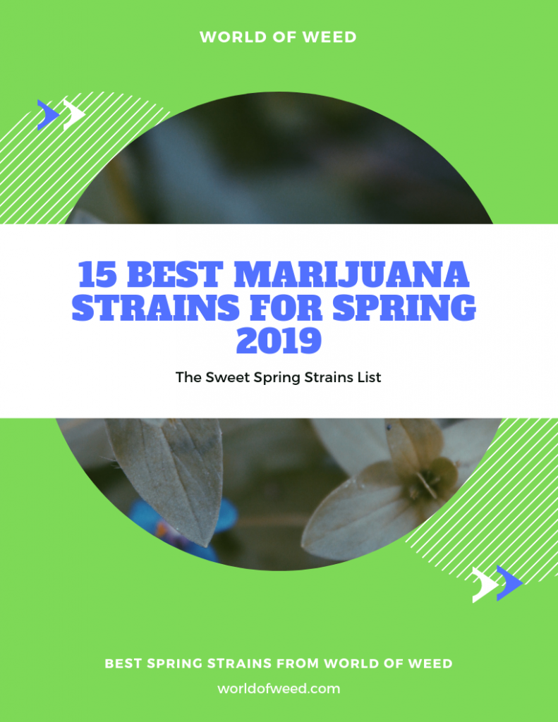 Best Marijuana Strains for Spring 2019