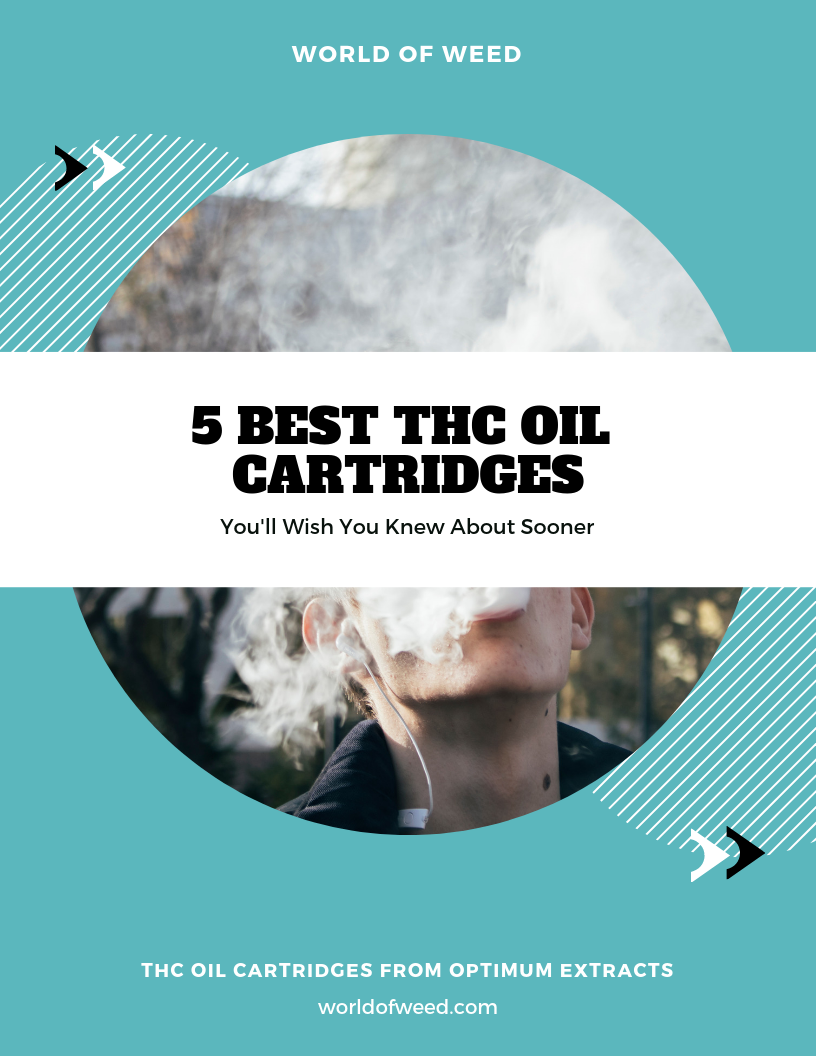 5 Best THC Oil Cartridges You’ll Wish You Knew About Sooner