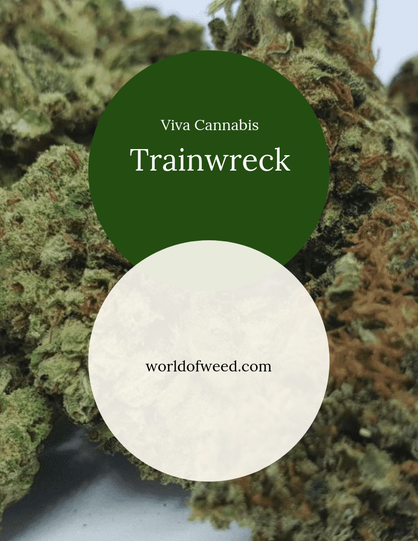 Trainwreck From Viva Cannabis