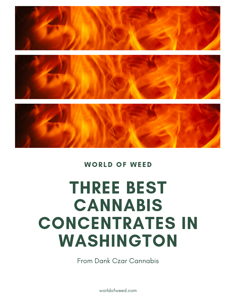 Three Best Cannabis Concentrates in Washington – From Dank Czar