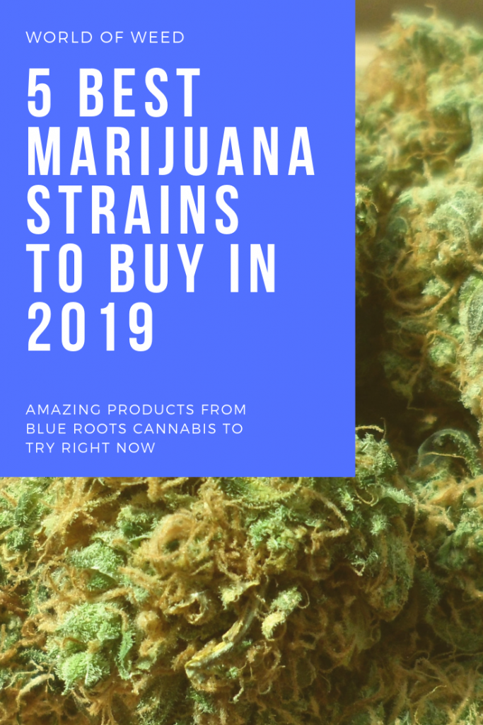 blue roots cannabis