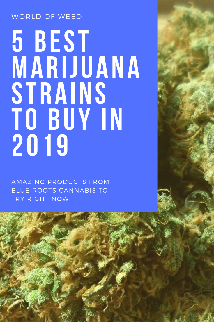 13 Amazing Blue Roots Cannabis Products to Try Right Now