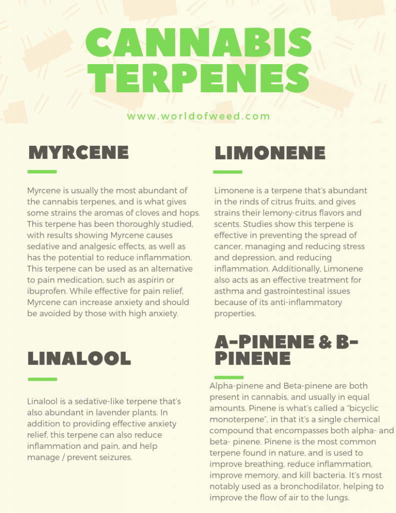 cannabis terpenes