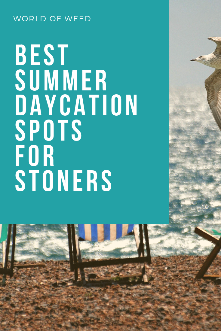 Best Summer Daycation Spots for Stoners