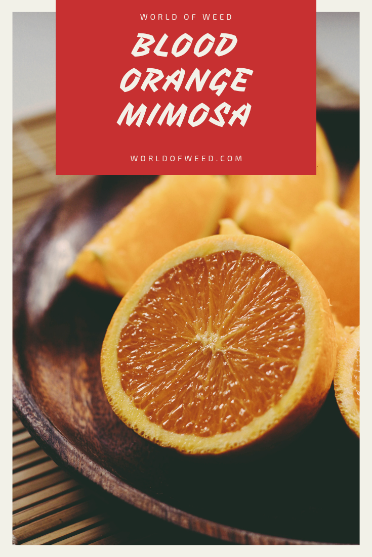 Cool Down With the Refreshing Blood Orange Mimosa Strain
