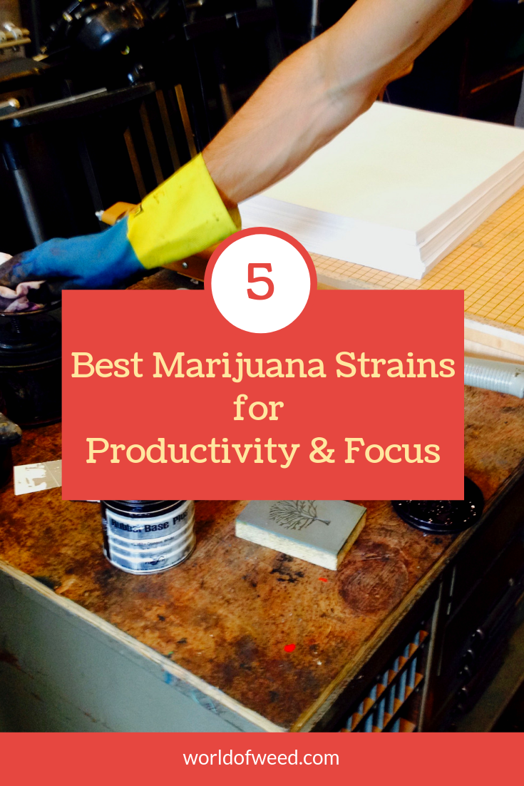 5 Best Marijuana Strains for Productivity and Focus