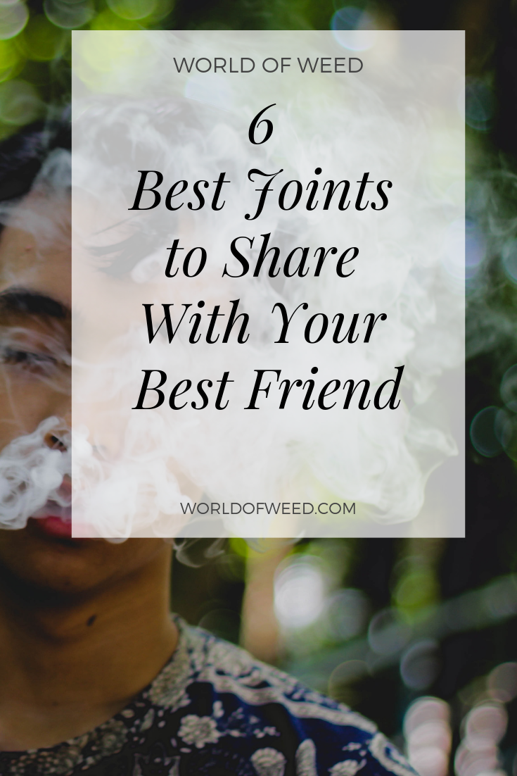 The 6 Best Joints to Share With Your Best Friend