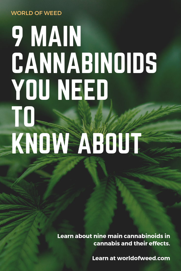 9 Main Cannabinoids You Need to Know About