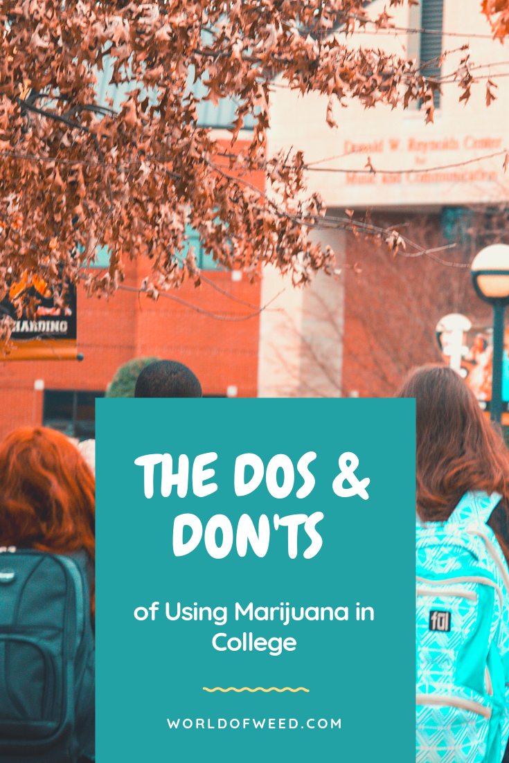 The Dos and Don’ts of Using Marijuana in College