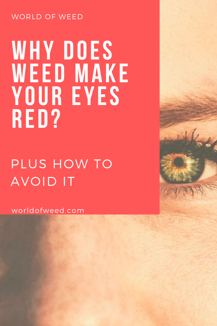 Why Does Weed Make Your Eyes Red? (PLUS: How to Avoid It)