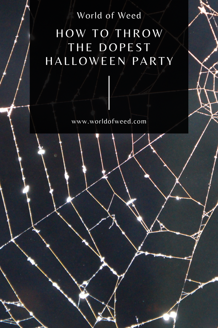 How to Throw the Dopest Halloween Party