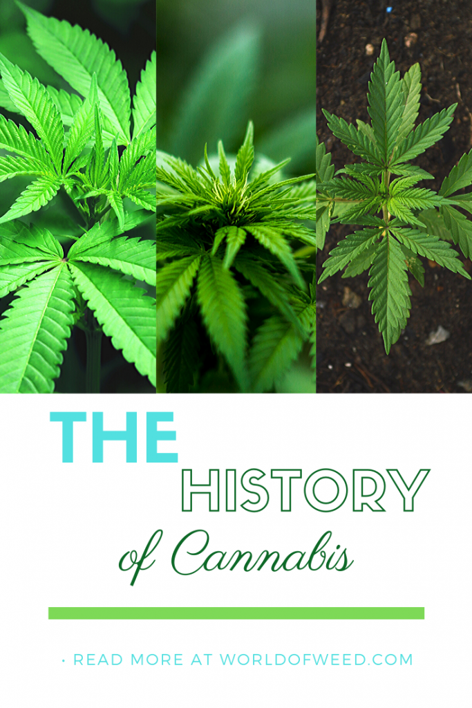 The HIstory of Cannabis by Tacoma dispensary World of Weed