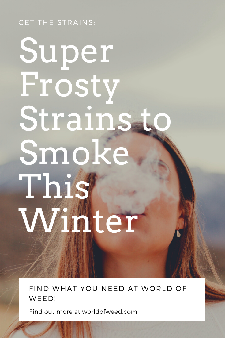 Super Frosty Strains to Smoke This Winter