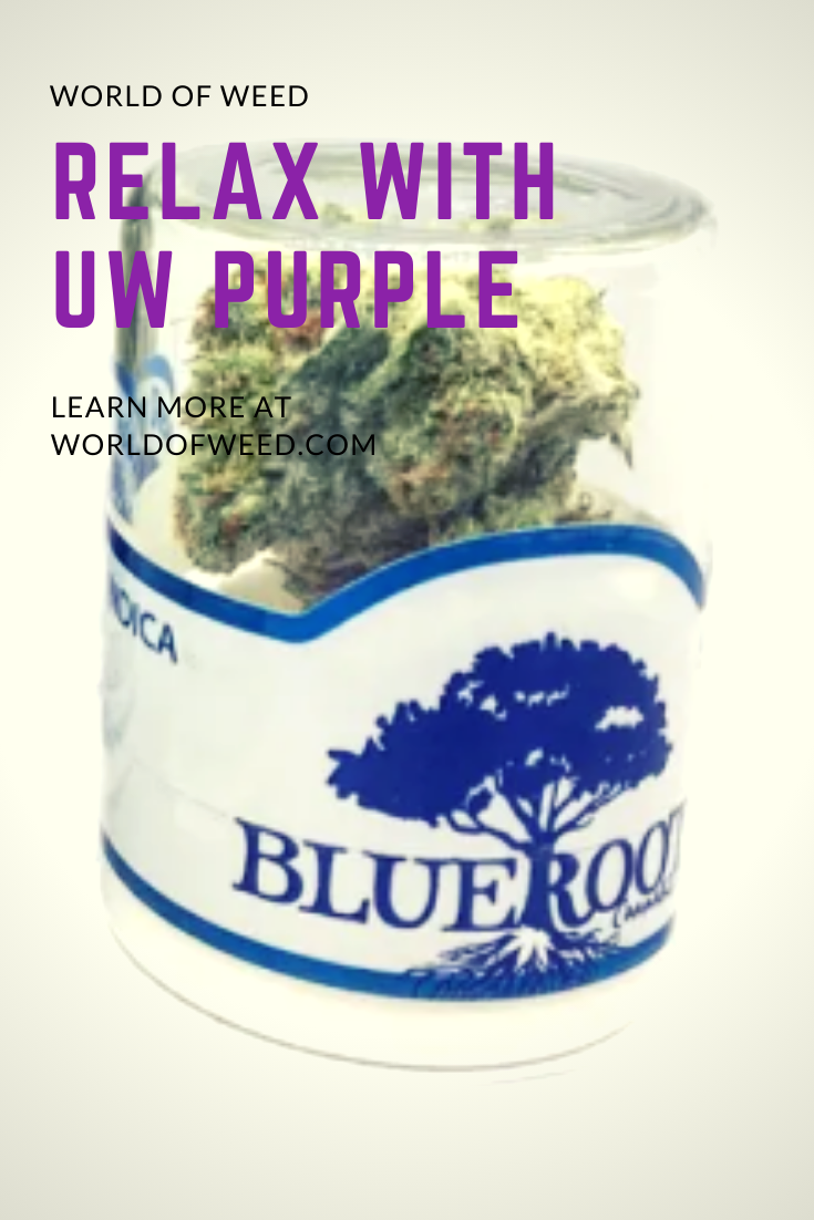 Relax With UW Purple