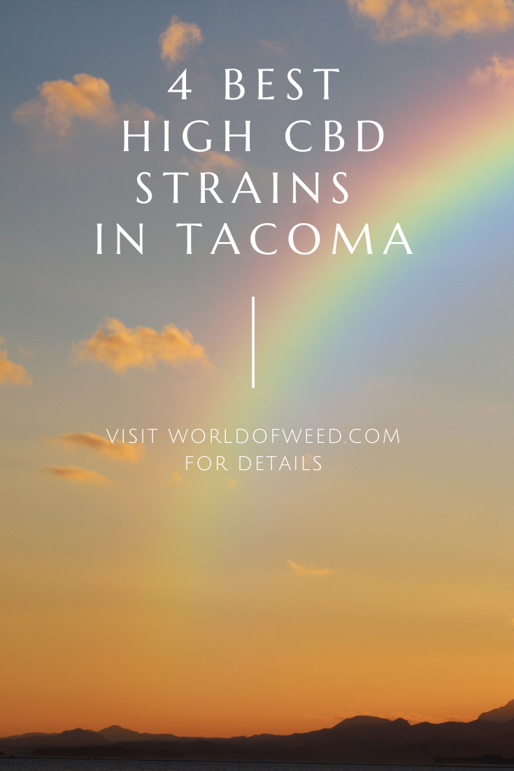 4 Best High CBD Strains in Tacoma