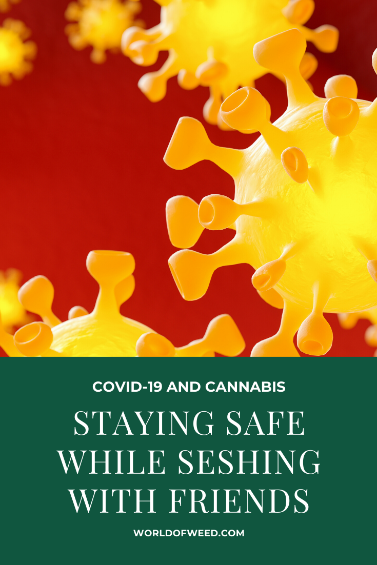 COVID-19 and Cannabis: How to Stay Safe While Seshing With Friends