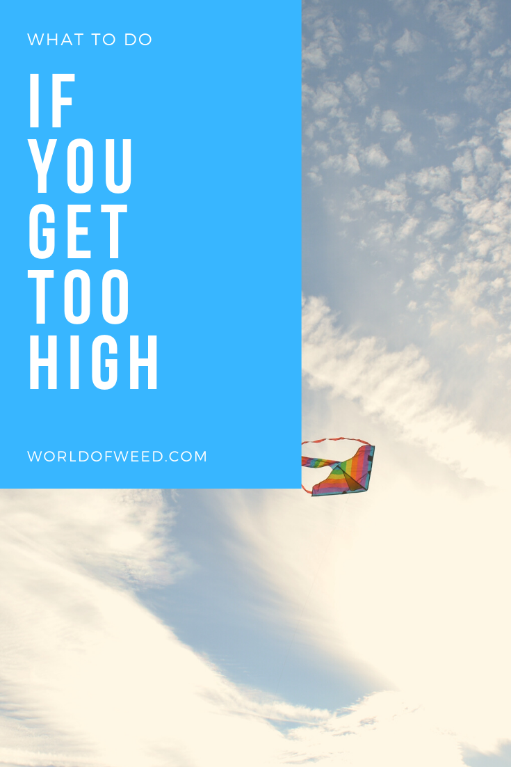 What to Do If You Get Too High