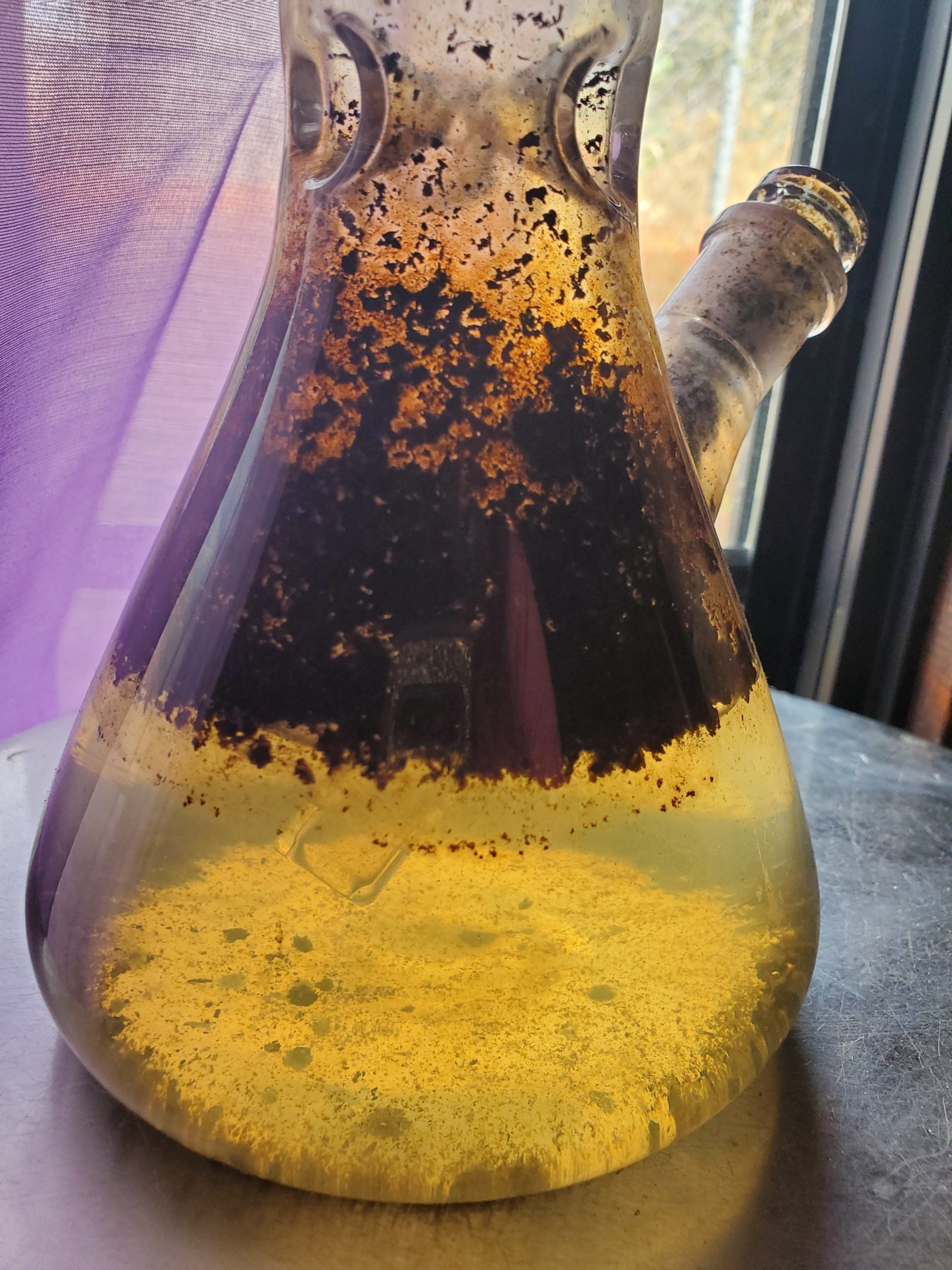 the-hidden-dangers-of-dirty-bong-water-world-of-weed