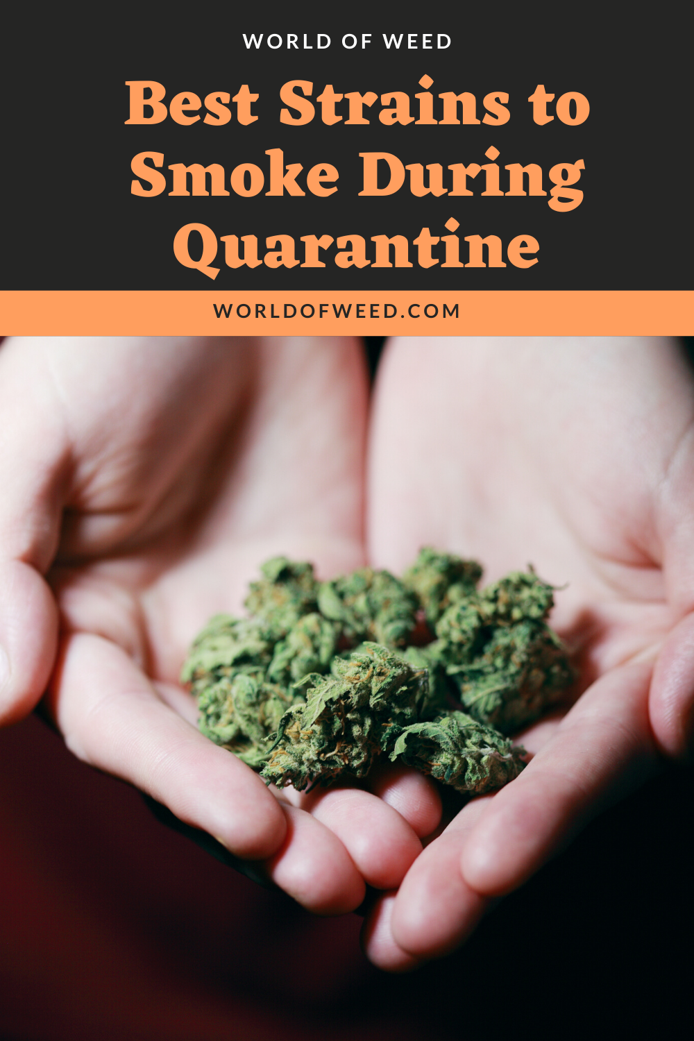 Best Strains to Smoke During Quarantine