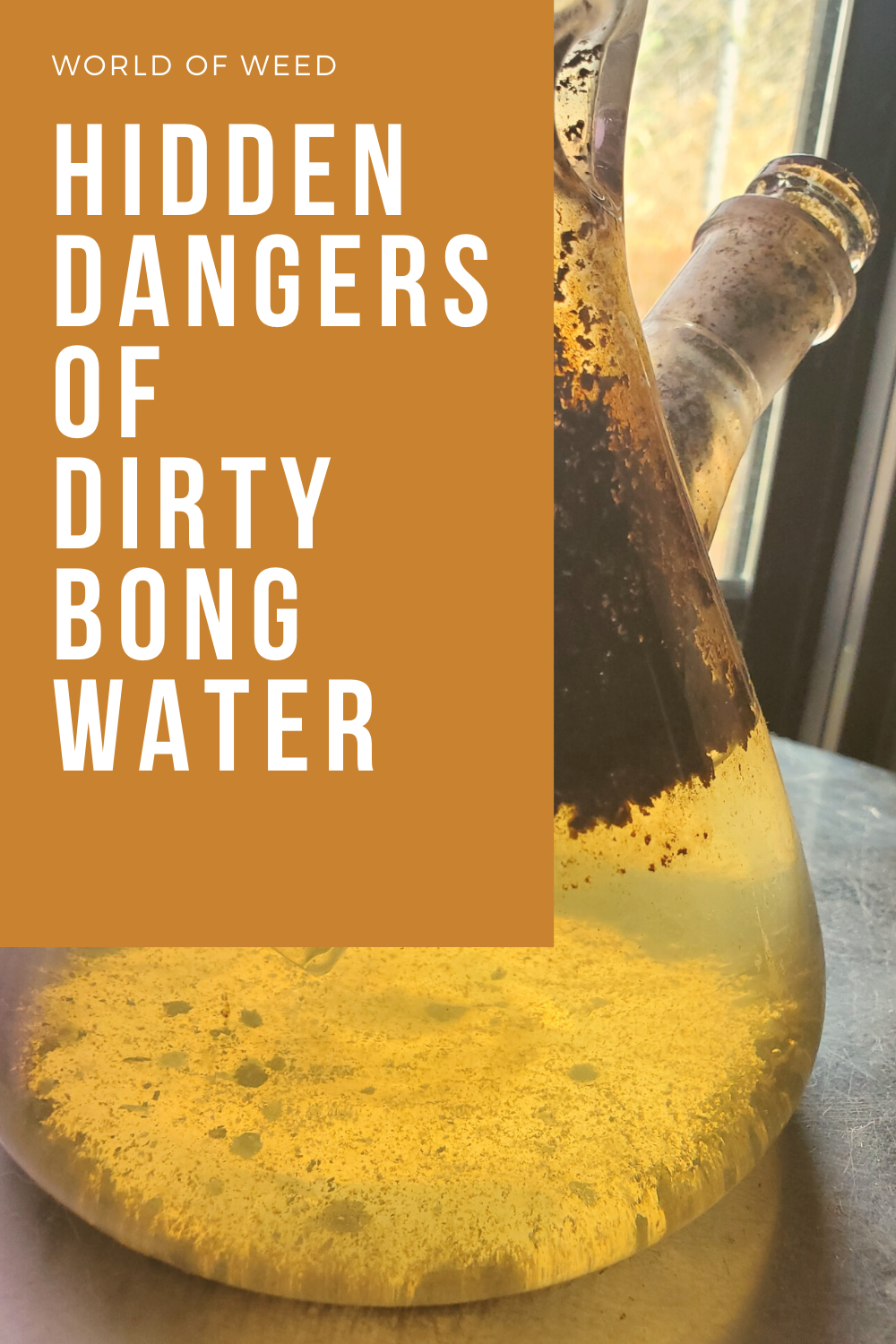 The Hidden Dangers of Dirty Bong Water