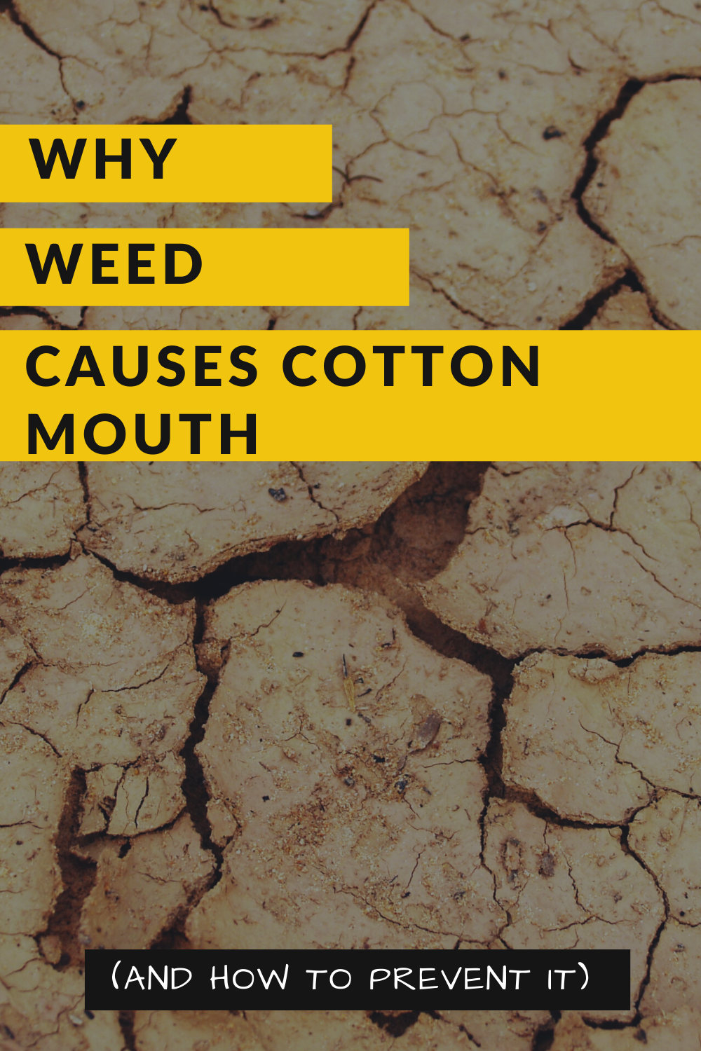 Why Weed Causes Cotton Mouth