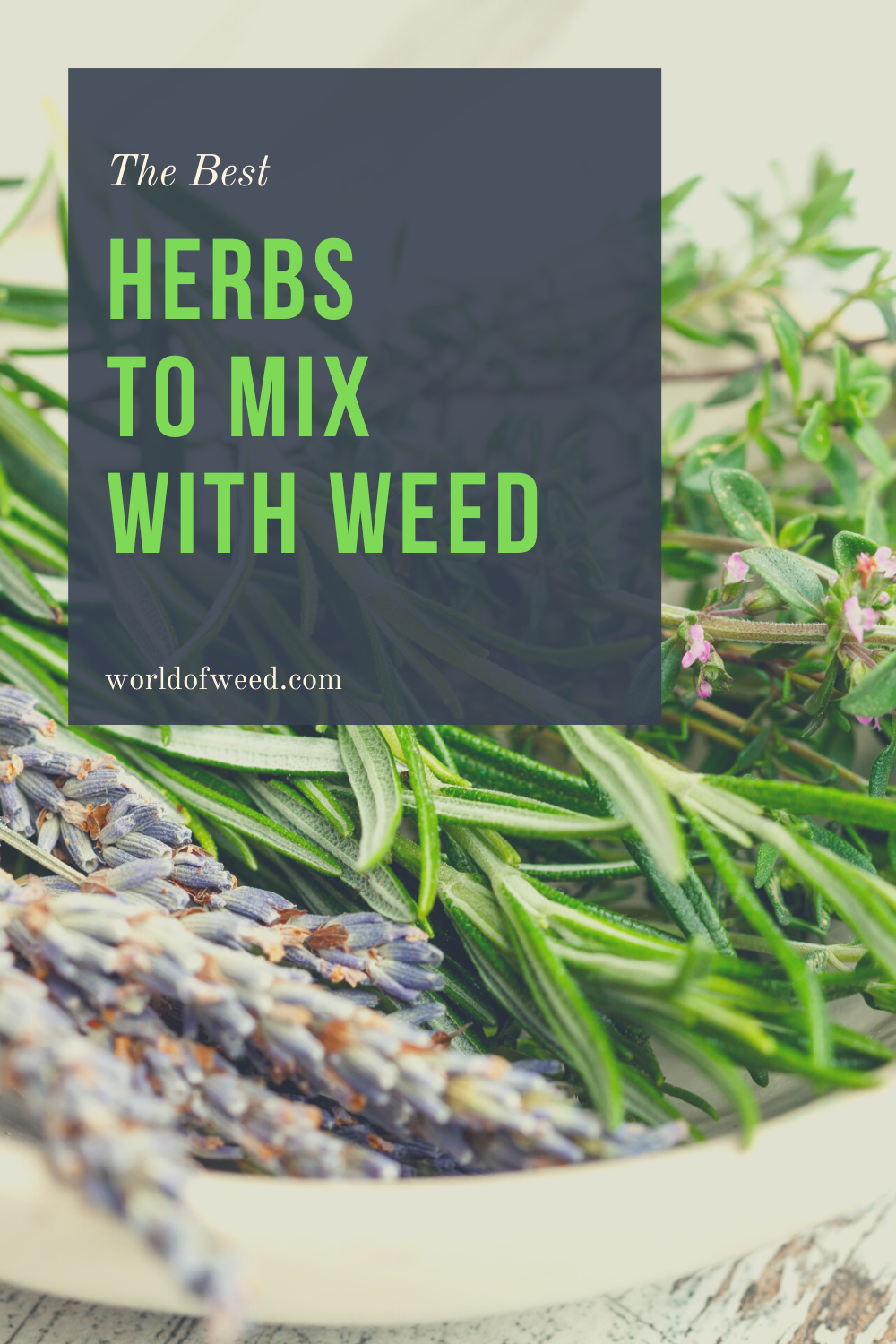 The Best Herbs to Mix With Weed