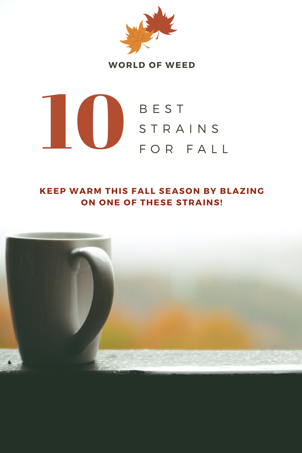 10 Best Fall Strains 2020