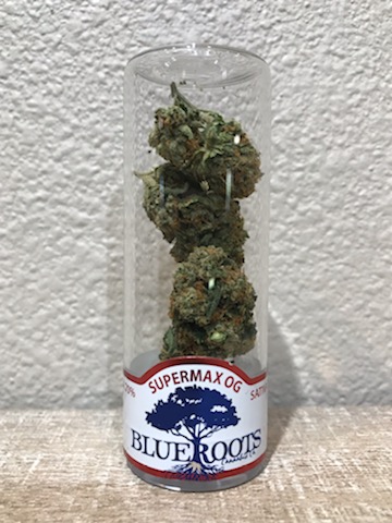 Best fall strains - Supermax OG