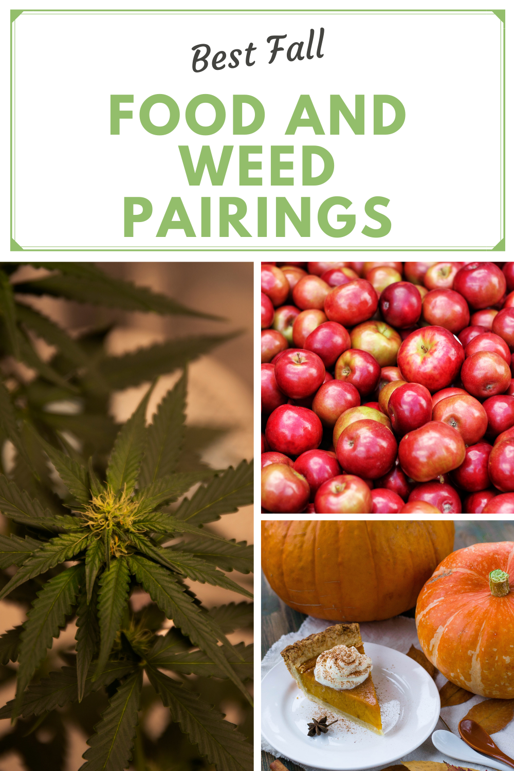 Best Fall Food and Weed Pairings