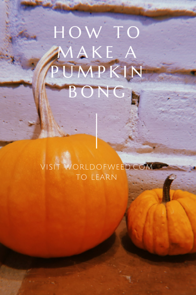 How to Make a Pumpkin Bong, Tacoma dispensary World of Weed