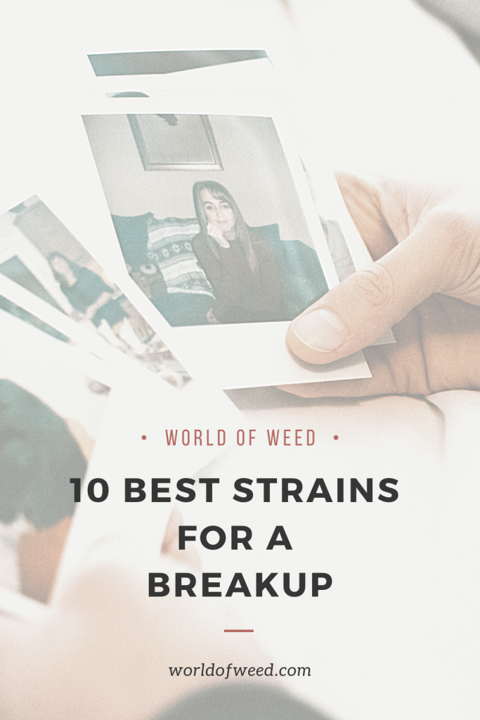 10 Best Strains for a Breakup | Tacoma dispensary World of Weed