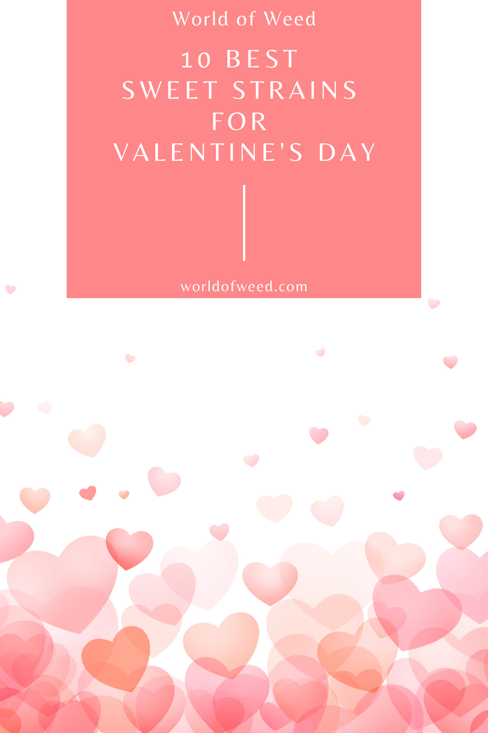 10 Best Sweet Strains for Valentine’s Day