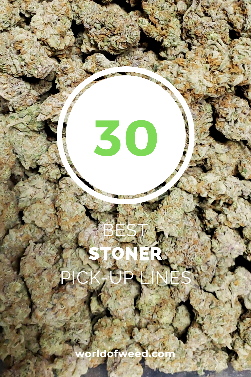 50 Most Successful Marijuana Enthusiasts You Should Know