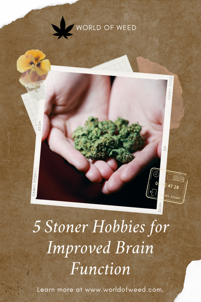 5 Stoner Hobbies for Improved Brain Function, World of Weed