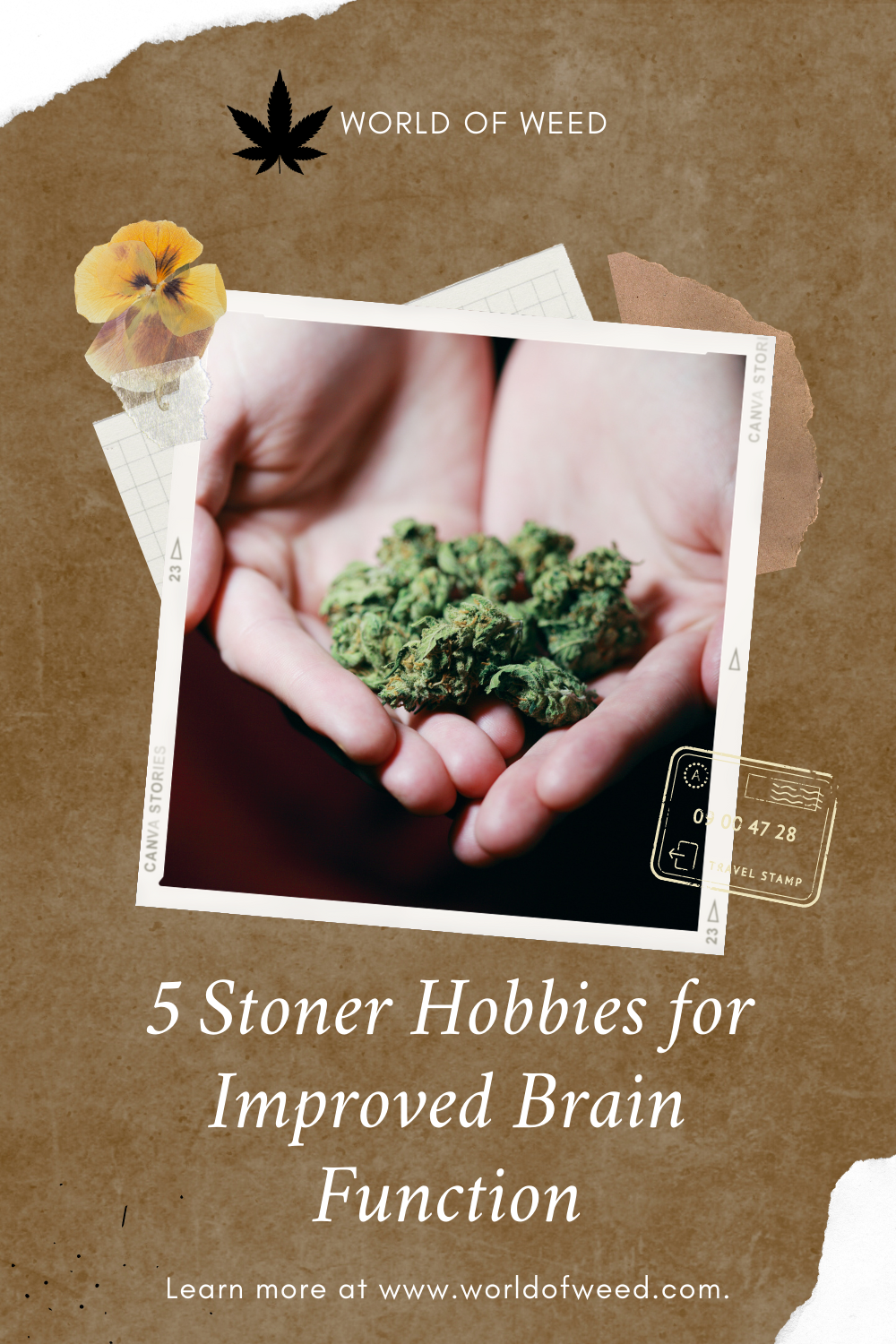 5 Stoner Hobbies for Improved Brain Function