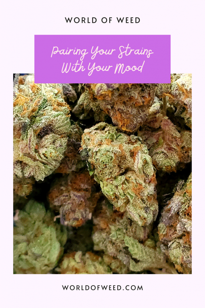 Learn how to pair cannabis strains with your mood from Tacoma dispensary, World of Weed