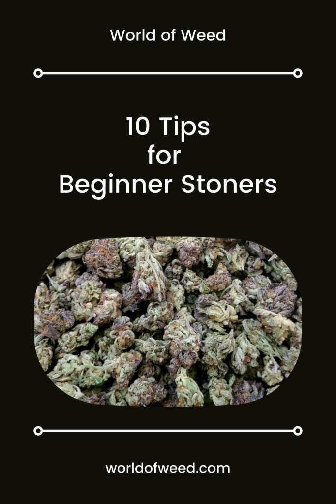 10 Tips for Beginner Stoners from Tacoma dispensary, World of Weed