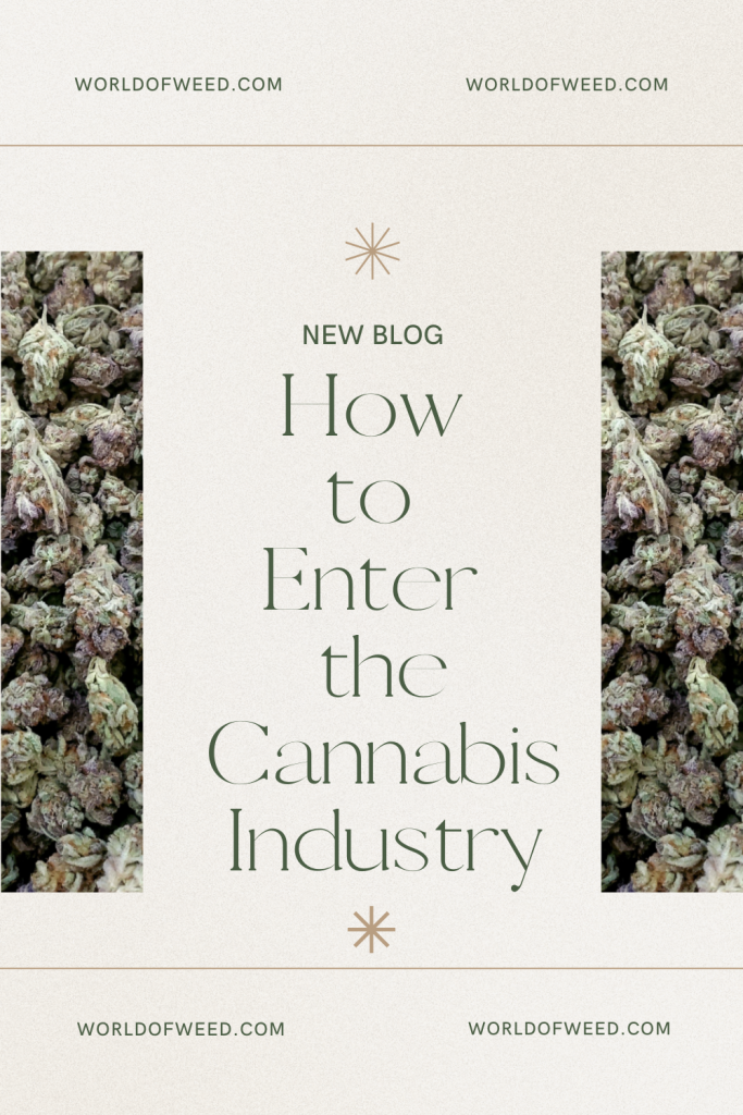 How to Enter the Cannabis Industry