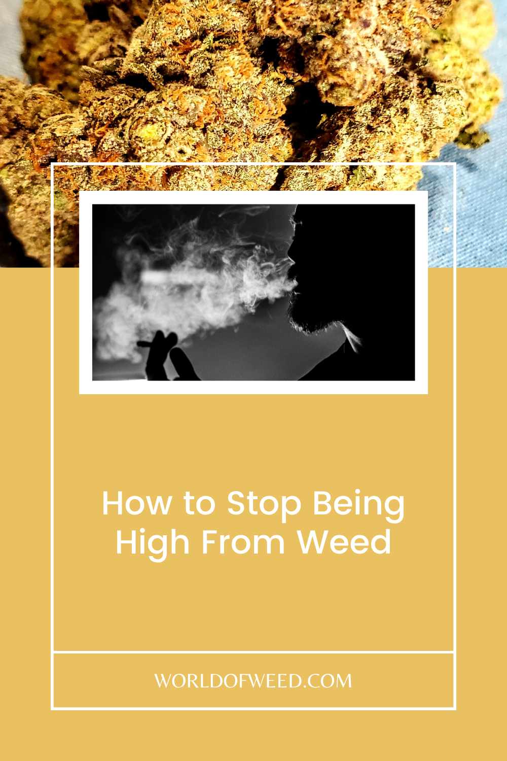 How to Stop Being High From Weed | World Of Weed