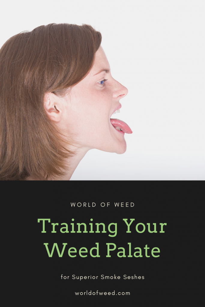 Image of woman with brown hair sticking her tongue out in front of white background above green on black text that reads Training Your Weed Palate"