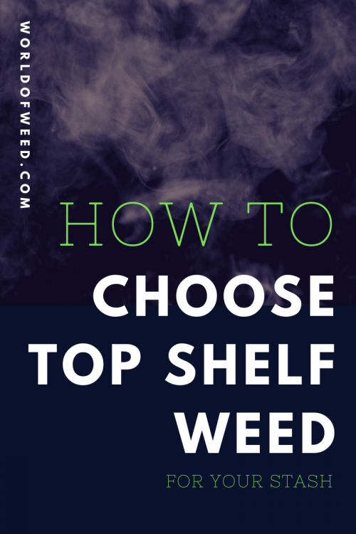 How to Choose Top Shelf Weed for Your Stash World Of Weed