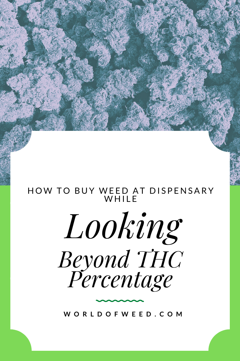 How to Buy Weed at a Dispensary While Looking Beyond the THC Percentage