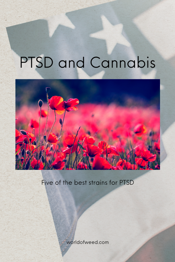 best cannabis strains for PTSD on memorial day