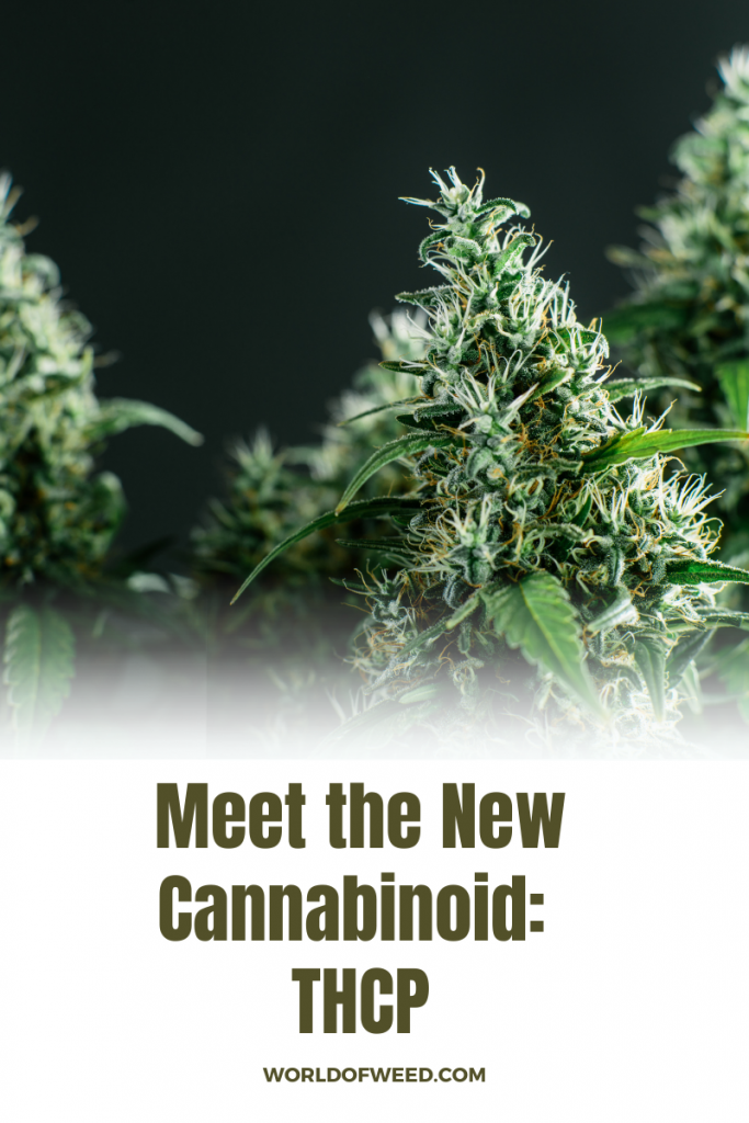 About the newly discovered cannabinoid THCP